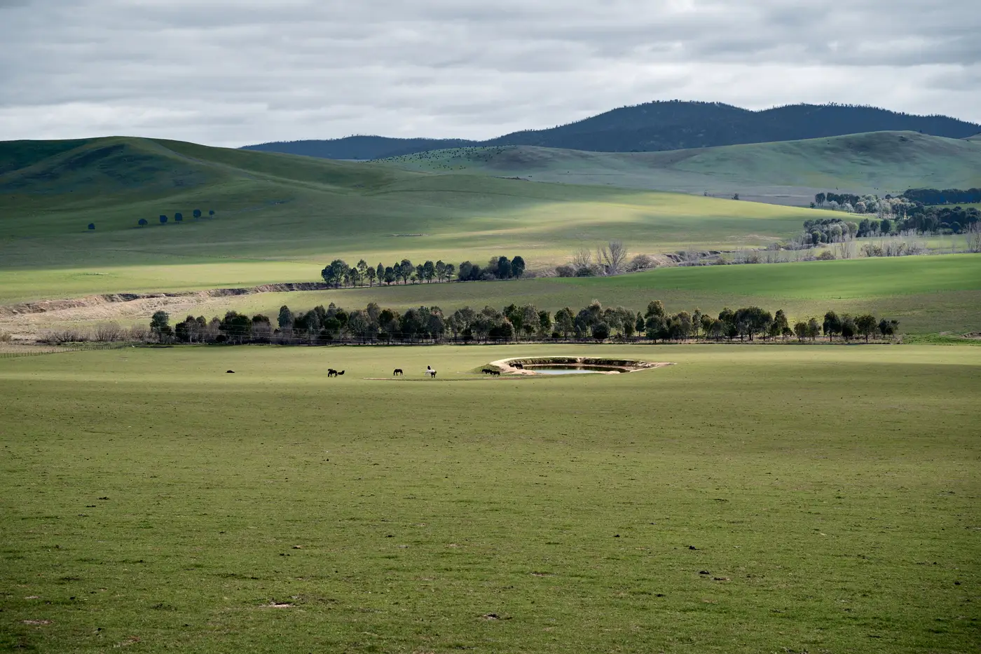 Wide view of Australian countryside with rolling green hills and a farm dam where livestock graze nearby.
