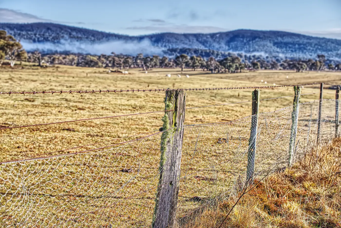 Barbed wire fence along a rural paddock boundary with distant hills in the Australian countryside.